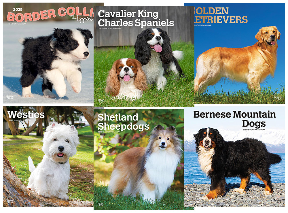 ブラウントラウト犬種別カレンダー