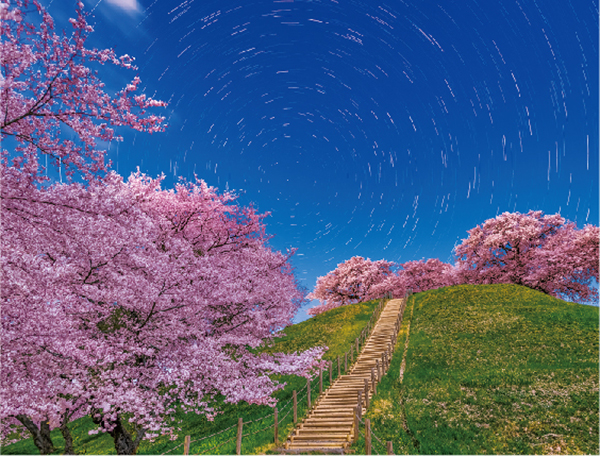 奇跡の絶景カレンダー